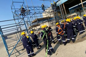 Specialized Scaffolding Program